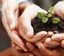 Non-Profit Organizations – Website Design – WordPress