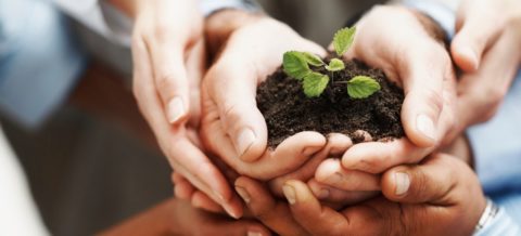 Non-Profit Organizations – Website Design – WordPress