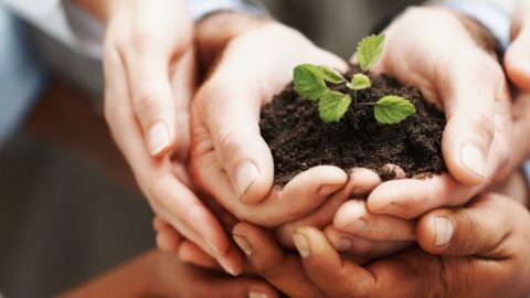 Non-Profit Organizations – Website Design – WordPress